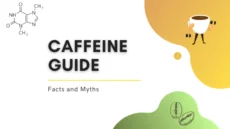 Caffeine Guide 2023