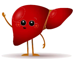 Coffee and liver disease